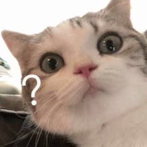 XXXHDTubesex-Freesex
