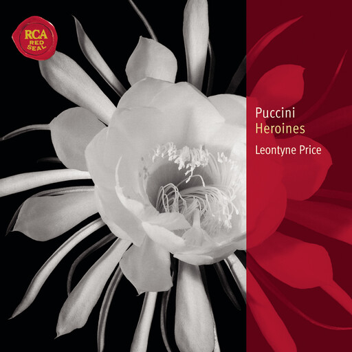 XXXHDTubesex-Freesex
